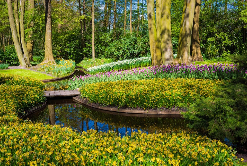 keukenhof
